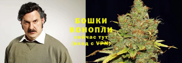 гашик Армянск