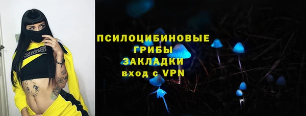spice Аркадак