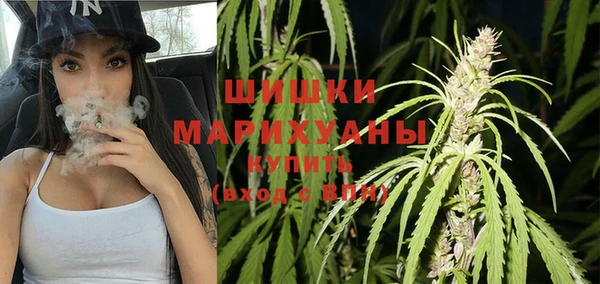spice Аркадак