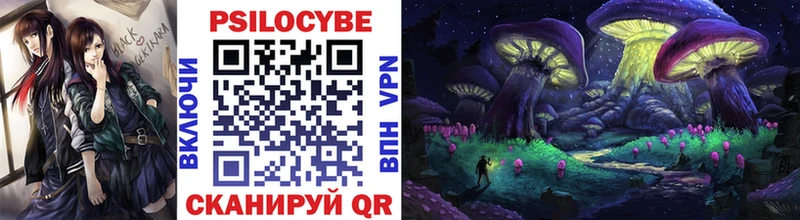 где можно купить   Каменск-Уральский  Псилоцибиновые грибы Magic Shrooms 