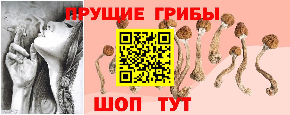 Каменск-Уральский  Галлюциногенные грибы Cubensis  Галлюциногенные грибы Psilocybe  даркнет сайт  Вход с VPN 